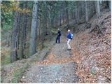 Dravograd - Huhnerkogel/Košenjak